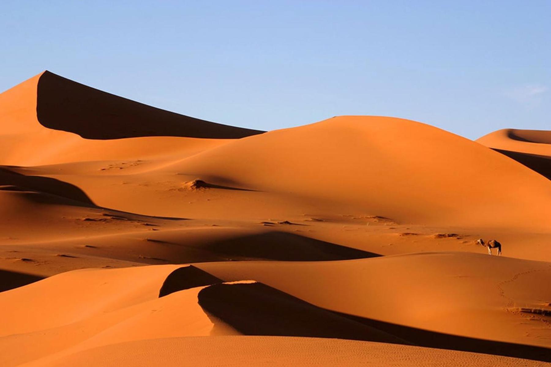 Desert Chegaga Luxury Camp El Gouera Buitenkant foto
