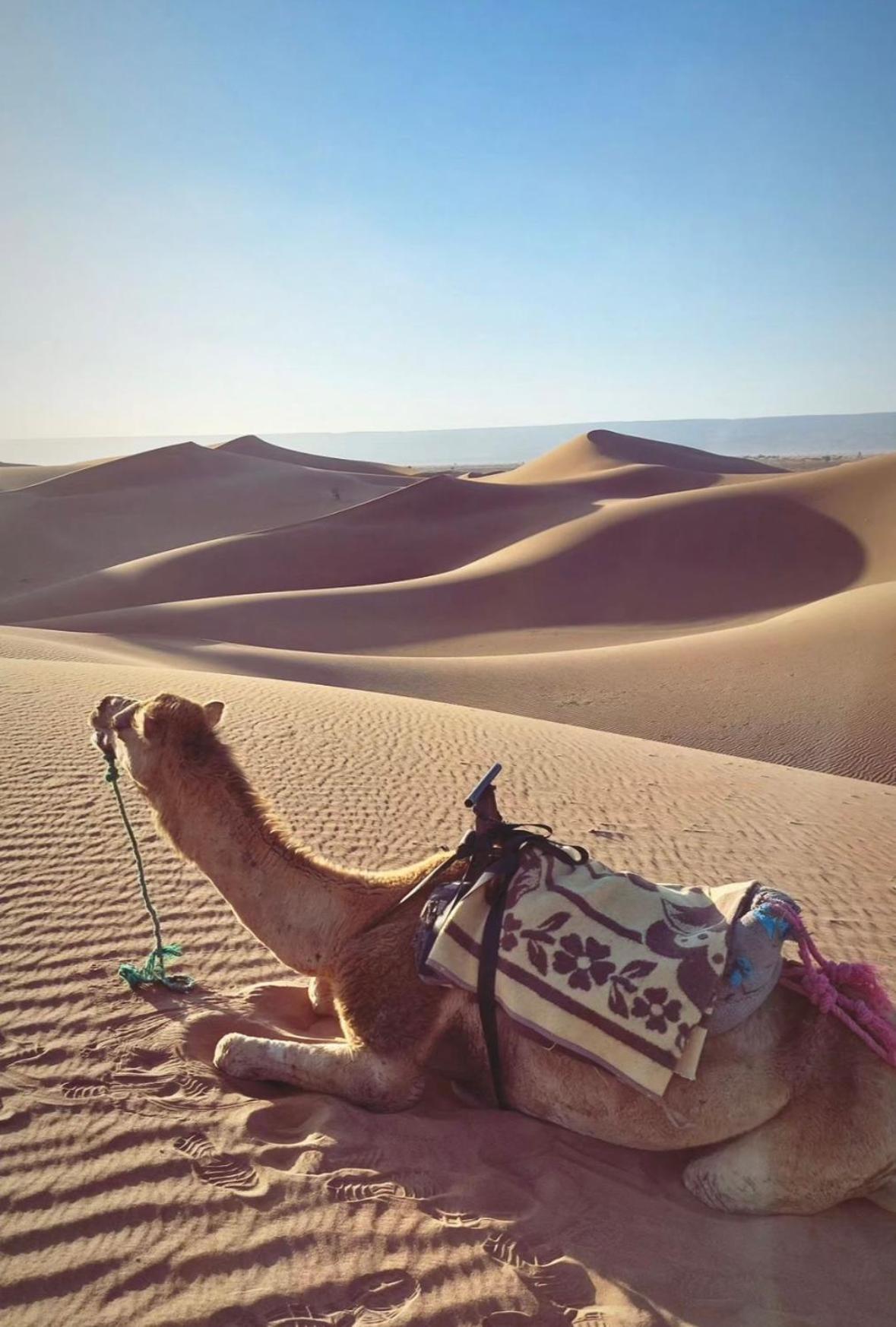 Desert Chegaga Luxury Camp El Gouera Buitenkant foto